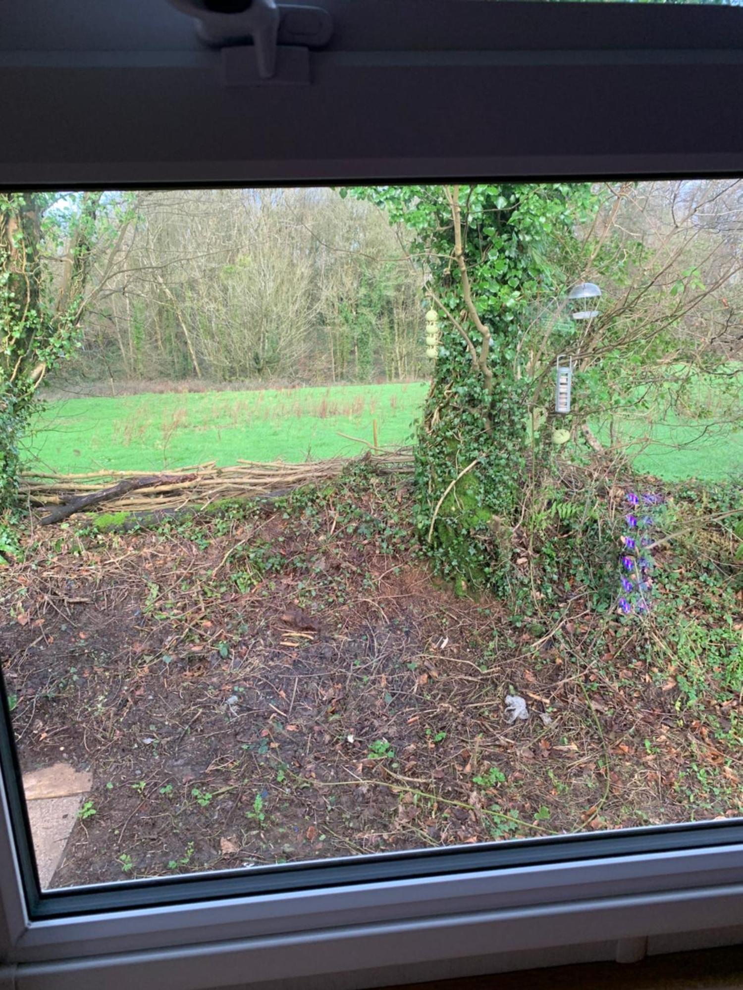 4 Devon Country, Bideford Bay Holiday Park Bucks Mills Exterior foto